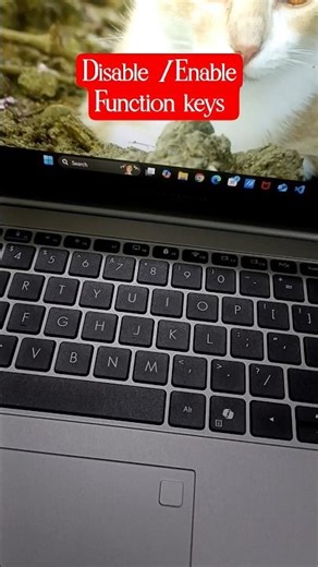 Disable enable function keys fn keys #functionkeys #computer #computershortcutkeys ...