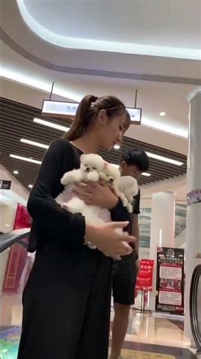 #All My Pets, One Big Hug#Caught with a Handf...#All My Pets, One BigHug#Caught with a Handful