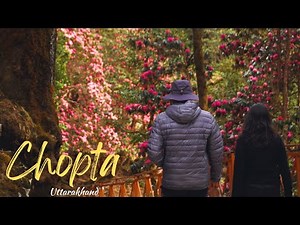 Chopta in Spring | Tungnath Temple and Deoria Tal Trek