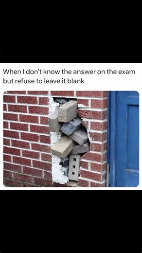 “Not Knowing Anything But Still Writing Full Pages 😭”“Full Marks for Effort? 😂”“No Answer? No Proble