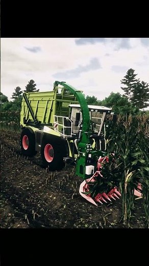 #CornHarvesting Claas Xerion Saddle Trac and Lacotec LH II #fs25 #farmingsimulator25