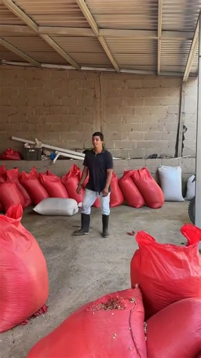 #conejo #punta #cazabe