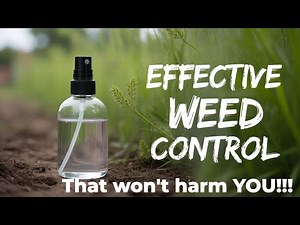 Easy DIY Weed Killer Anyone Can Try!