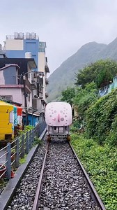 40K views · 304 reactions | ‍♀️✨ Pedal through the stunning coastal...