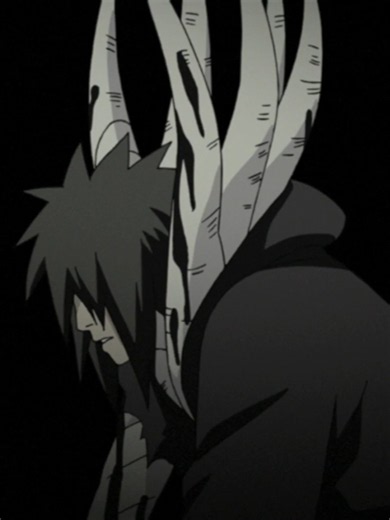 Naruto Shippuden: Episode 344-345 |