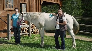 Watch Cowboy Magic Sample Set Introduction on Amazon Live