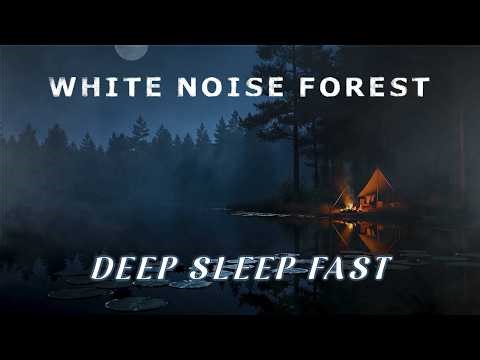 FOREST AMBIENCE 🌲 White Noise & Calm Nature Sounds Sleep, Relax, Focus