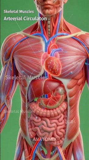 🍉 Top Benefits of Watermelon Juice! #WatermelonJuice #HealthyDrinks #NaturalEnergy #Anatomix #Shorts