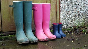 Google Doodle celebrates the Wellington boot