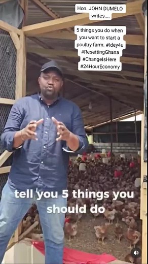 5 Essential Steps to Start a Poultry Farm in Ghana