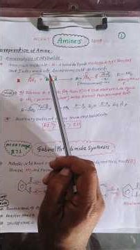 Aminolysis Reaction| Amine Chapter| Class 12 |Organic chemistry|