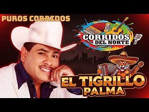 Lo Mejor de El Tigrillo Palma🔥 Corridos Norteños Clásicos 🍻 Puros Corridos