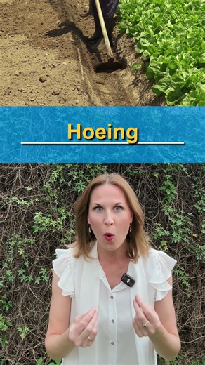 JForrest English on Instagram: "🌿 Useful vocabulary for farming and gardening #learnenglish"