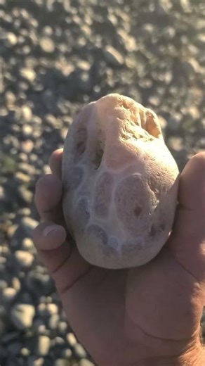 A large piece of banded agate #crystals #geology #gemstone