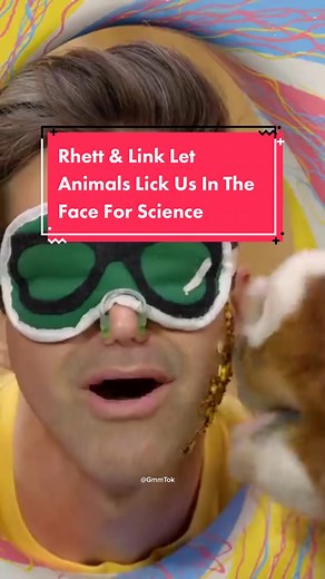 Rhett & Link Let Animals Lick Us In The Face For Science #gmm #goodmythicalmorning #rhett #rhettandlink #link #fyp #youtube