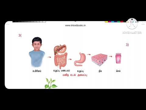 7th standard science Term 2 Unit 4 Cell Biology Question Answers book one word #sarakrishnaacademy