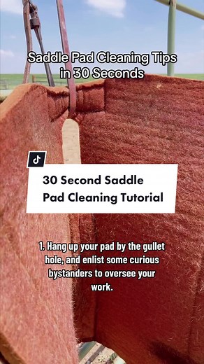 Quick Tutorial: How to Wash a Wool Saddle Pad