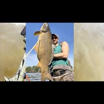 BOW FISHING A 40 LB Monster FISH! #40lbs #bowfishing #toad #hunterz