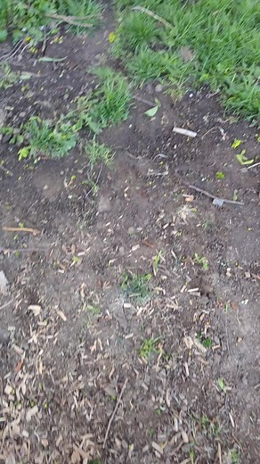 sonic feet (@_sonicfeet_)’s videos with original sound - sonic feet