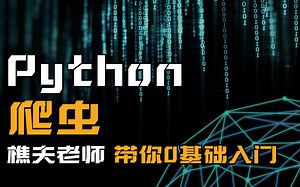 【2024最新版】樵夫Python爬虫课程 从零基础到高级逆向