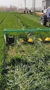 301K views · 9.1K reactions | Modern Machines Helping Farmers In Farming | Farm Channel | Facebook