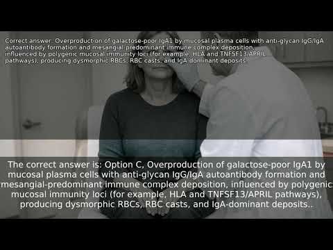 Molecular Genetics of IgA Nephropathy, Immunoglobulin A (IgA) Nephropathy, Glomerulonephritis: Cause