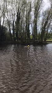 Watch as a brave RSPCA inspector swims out into lake to rescue drowning gull More here: https://bit.ly/3aT8kem | Granada Reports
