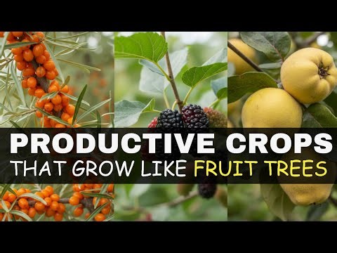 20 Productive Crops That Grow Like Fruit Trees