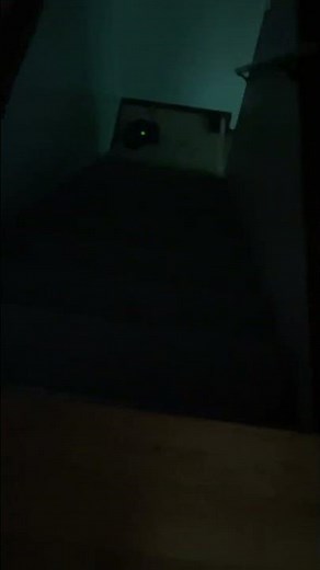 Roomba falling down stairs. ORIGINAL VIDEO