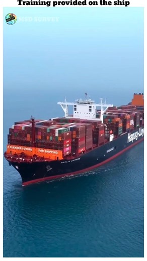 Training provided on the ship//MSD SURVEY#shorts