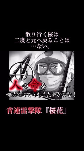 桜花特別攻撃隊と音速雷撃隊の物語