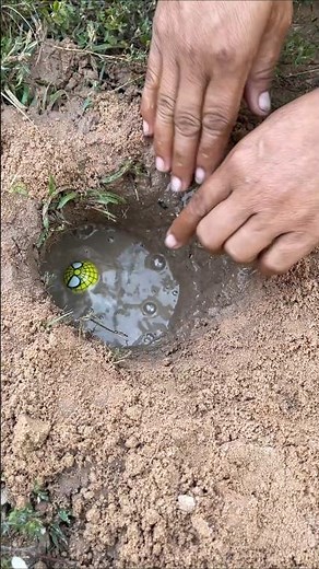 Survival Skills: SMART idea and USEFUL in forest #bushcraft #outdoors #survival #crab