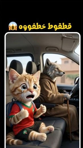 #shorts قطقوط خطفوه من المدرسة ياربي السلامة 😰