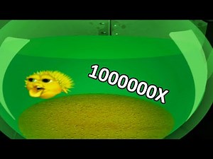 Yellow Singing Pufferfish over 1 million times