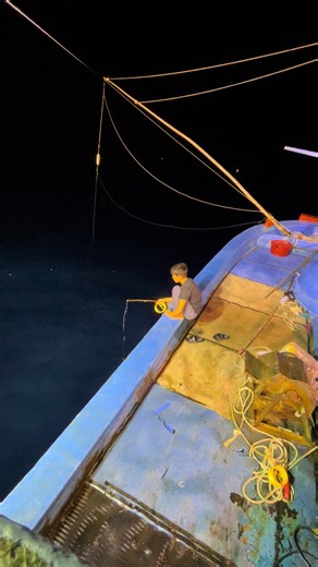 Cá Ngừ Đại Dương: Khám Phá Hải Sản Ngon Miệng