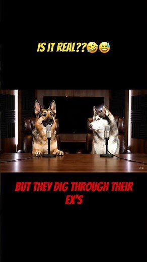 Most Hilarious Dogs Roasts Instagram Stalkers 😂 | Best Dog Podcast Ever! #viral #shorts #ai #dogs