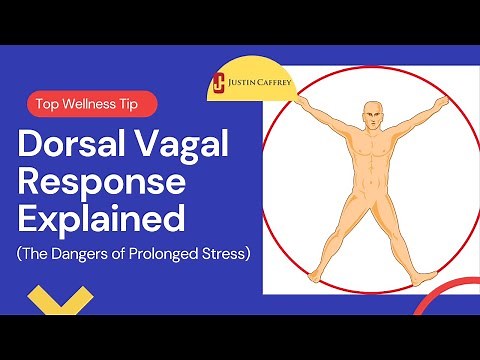Dorsal Vagal Response Explained