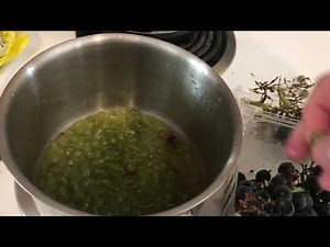 How to make Concord Grape Jam!