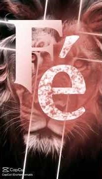 Fé você tem ? #jesus #deustemumapalavrapravoce #reflexão #mensagensdivinas