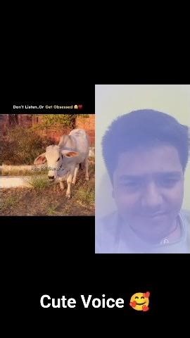 cutest voice ever 😍💞🥳#trending #cute#viral