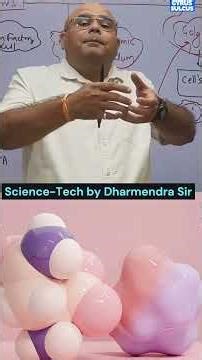 cell function #gyrussulcus