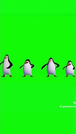 Penguins of Madagascar dancing to Gangnam Style