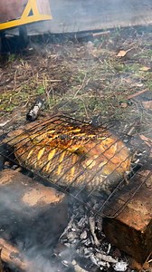 Tutorial nunu mujair ranau 🤩 #fandicrazycorn | Ndi