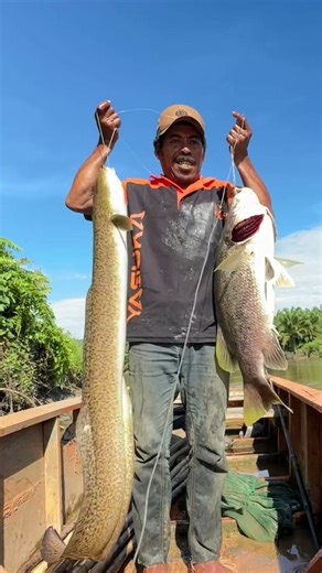 Kalian punya mana..??? #petualangalamlampasio #mancing #kokiko #fishing