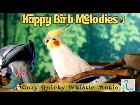 Happy Birb Melodies | Cozy Whistle Music & Tropical Bird Forest Sounds for Parrots to Whistle To🦜