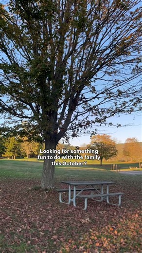 73 reactions · 25 shares | The perfect (& FREE) fall activity  Enjoy a Scooby Doo Scavenger Hunt at Canoe Creek State Park in Hollidaysburg, PA!️  Scooby Doo 5 Hike Challenge 2025 Scavenger Hunt: https://docs.google.com/forms/d/e/1FAIpQLSeBumAgk1-MlS0f-46jgcOO9Y2DZNEoguwvzFZ1gRUuqL63-g/viewform?pli=1 | Discover Blair County - The First Frontier | Facebook