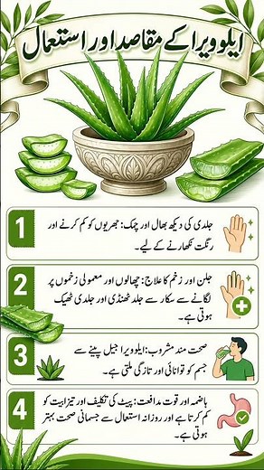 Top 4 Amazing Uses & Benefits of Aloe Vera 🌿 | Natural Health Tips