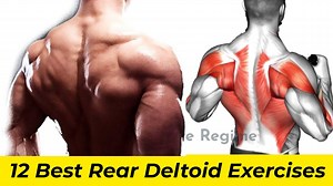 12 Best Rear Delt Exercises for Mass and Strength
