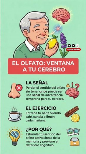 ​El Olfato: Ventana a tu Cerebro