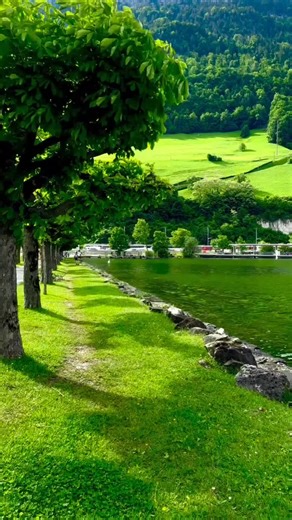 Fred new juice (@fred340)’s videos with I Look Good - Chalie Boy